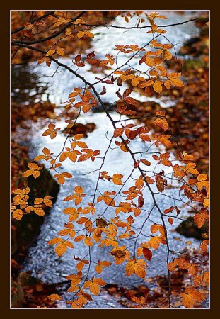 November